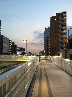 IMG_6199_1.jpg