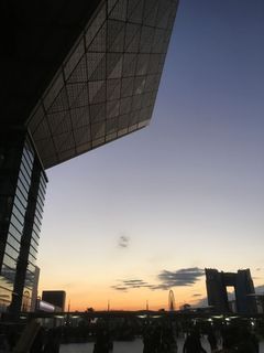 IMG_6945_1.jpg