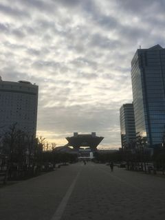 IMG_7168_1.jpg